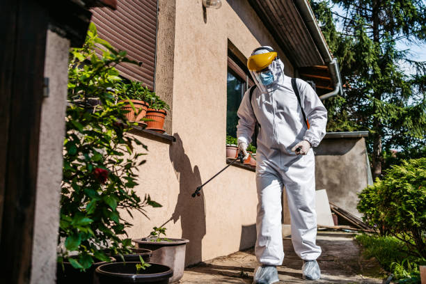 Best Cockroach Control Services  in Maplewood, MO