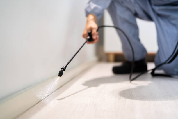 Professional Pest Control in Maplewood, MO