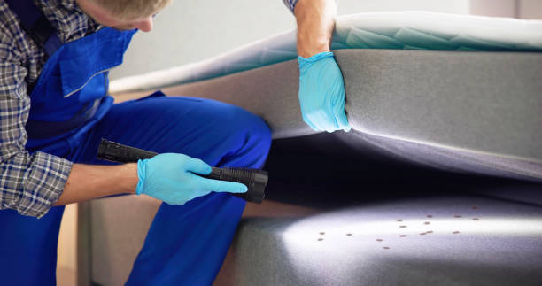 Best Rat Extermination Near Me  in Maplewood, MO